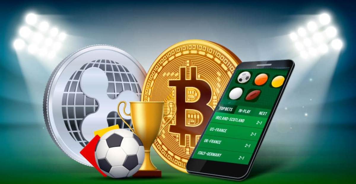 Exploring the Thrill of Fantasy Sports with Daily Leaderboards Exploring the Thrill of Fantasy Sports with Daily Leaderboards